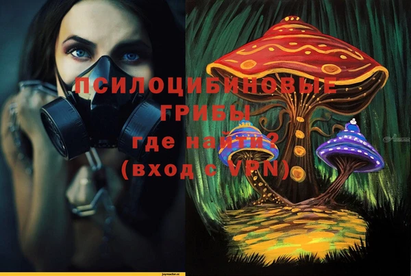PSILOCYBIN Лихославль