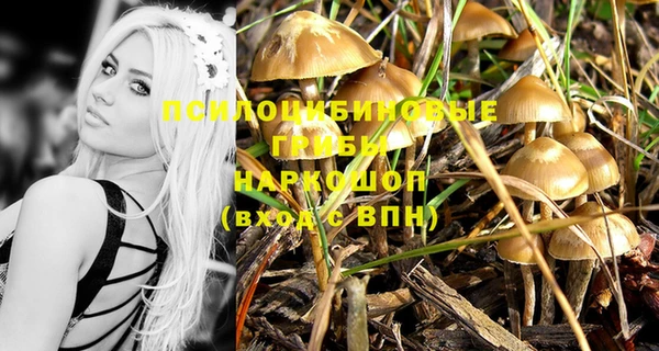 PSILOCYBIN Лихославль