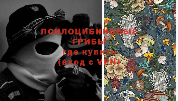 PSILOCYBIN Лихославль